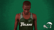 New Orleans Wave GIF by GreenWave