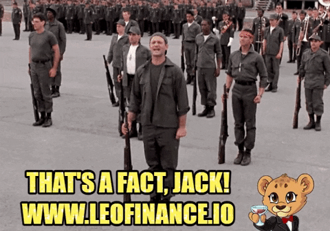 sgt-dan giphygifmaker giphyattribution cheers cryptocurrency GIF