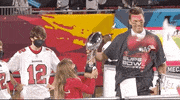 Super Bowl Football GIF by NFL