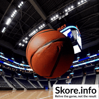 skoreinfo basketball nba ball spin GIF