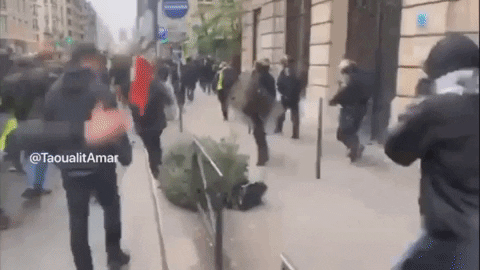3Dumenieu giphygifmaker GIF