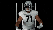 Old Dominion Sport GIF by ODU Football