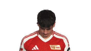Look Up Union Berlin Sticker by Bundesliga