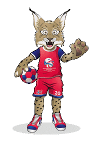 Ehfeuro2020 Sticker by EHF