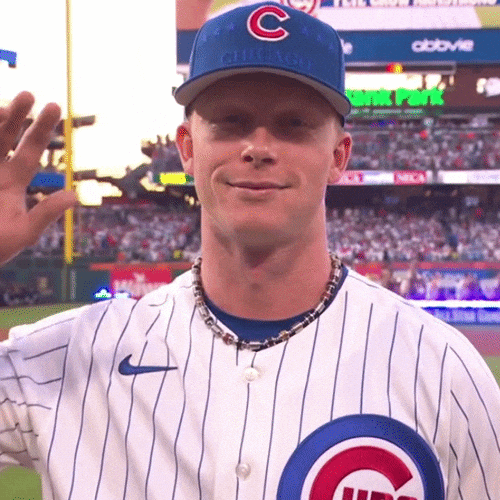 Chicago Cubs Baseball GIF