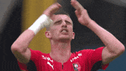 Putin Rate GIF by Stade Rennais F.C.