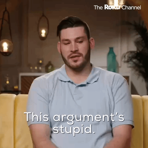 Stupid Argument