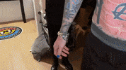 Lil Wayne GIF by Machine Gun Kelly
