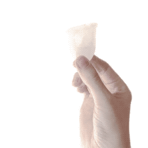 Somossatya woman vegan eco period GIF