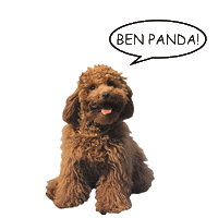 Owli Sticker by bebekform