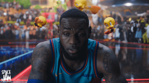 Lebron James Reaction GIF by Space Jam