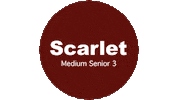 Scc Scarlet Sticker by South Coast Cheer