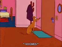 season 8 episode 20 GIF