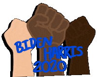 Joe Biden Power Sticker