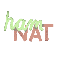 Studying Germany Sticker