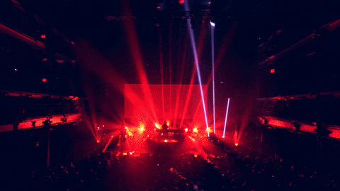 giphy.gif