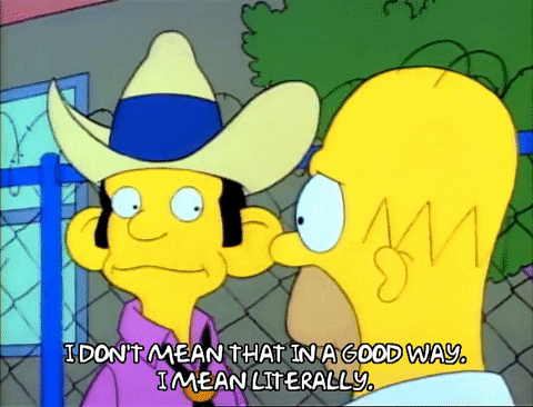 Season 1 GIF by The Simpsons