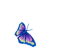 Butterfly Clairiere Sticker by T7PARIS