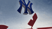 New York Yankees Baseball GIF by YES Network