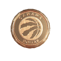 Kawhi Leonard 3D Sticker by SwitchMedia