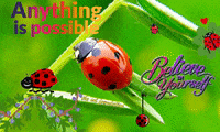 Flowers Love GIF by The SOL Foundation