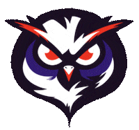 Hockey Sur Glace Sticker by Les Ducs d'Angers