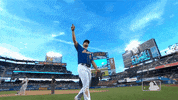 Cap Off Ny Mets GIF by New York Mets