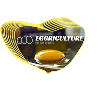 Egg Yolk Eggs Sticker by Eggriculture