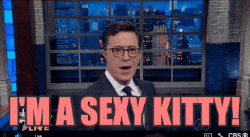 stephen colbert im a sexy kitty GIF by The Late Show With Stephen Colbert