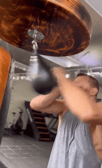 georgesrushstpierre ufc mma boxing punch GIF