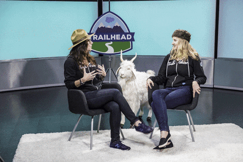 GIF by Salesforce