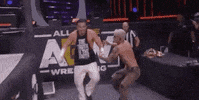 Matt Hardy Aew On Tnt GIF by All Elite Wrestling on TNT
