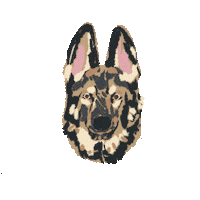 Happy German Shepherd Sticker