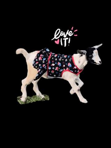 Goat Love GIF by 3L Innovations