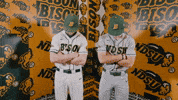 Baseball Bison GIF by NDSU Athletics