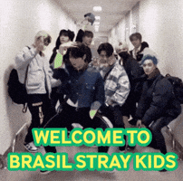 Stray Kids Skz GIF