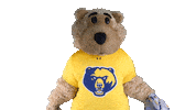 West Virginia College Sticker by WVU Tech Golden Bears