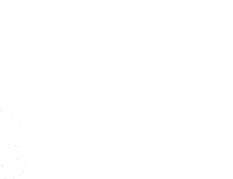 Otto Spirit Squad Sticker by OAEAG Syracuse University