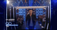 steracteur sterartiest GIF by vrt