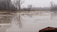 Noisy Ice Chunks Push Through River in Northern Ohio