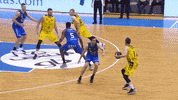 Liga Endesa Basketball GIF by ACB