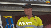 Channel 9 Reaction GIF by The Block