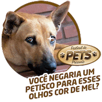 Gato Sticker by Prezunic