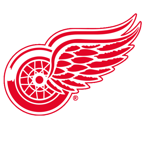 Ice Hockey Sport Sticker by NHL