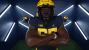 Go Blue College Football GIF by Michigan Athletics
