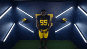Go Blue College Football GIF by Michigan Athletics