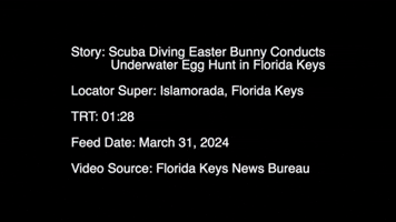 Easter Bunny Hosts Underwater Egg Hunt in Florida