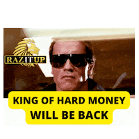 Destroy Arnold Schwarzenegger Sticker by Yanni Raz