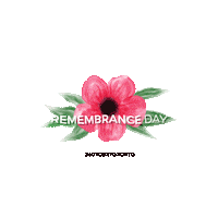 Canadian Flower Sticker by 360 Tour Toronto