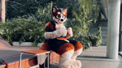 GenericFoxsuit mascot furry costume riley GIF